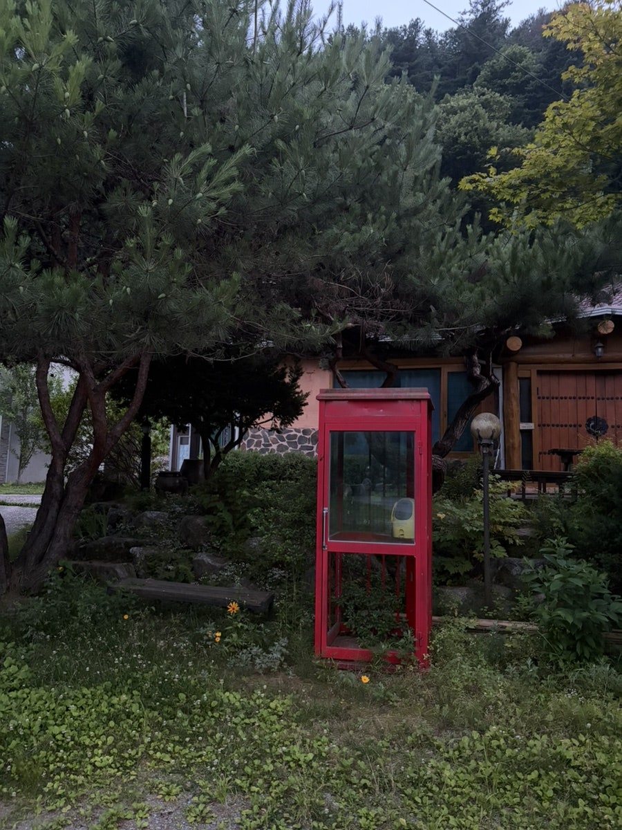 파인휴펜션 사진 4