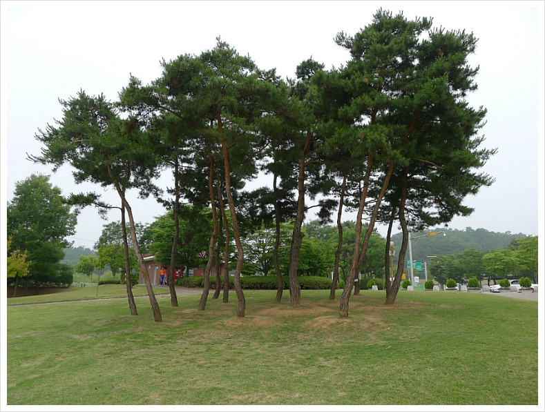 목령산 사진 4