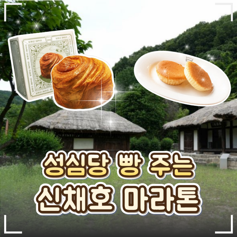 성심당 빵 주는 마라톤! '제2회 대전 신채호 마라톤' 참가 접수｜일정·코스·참가비·기념품 ....