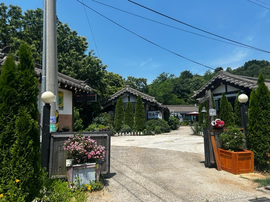 한옥마을녹색흑염소 사진 2