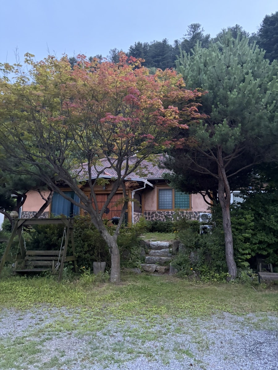 파인휴펜션 사진 2