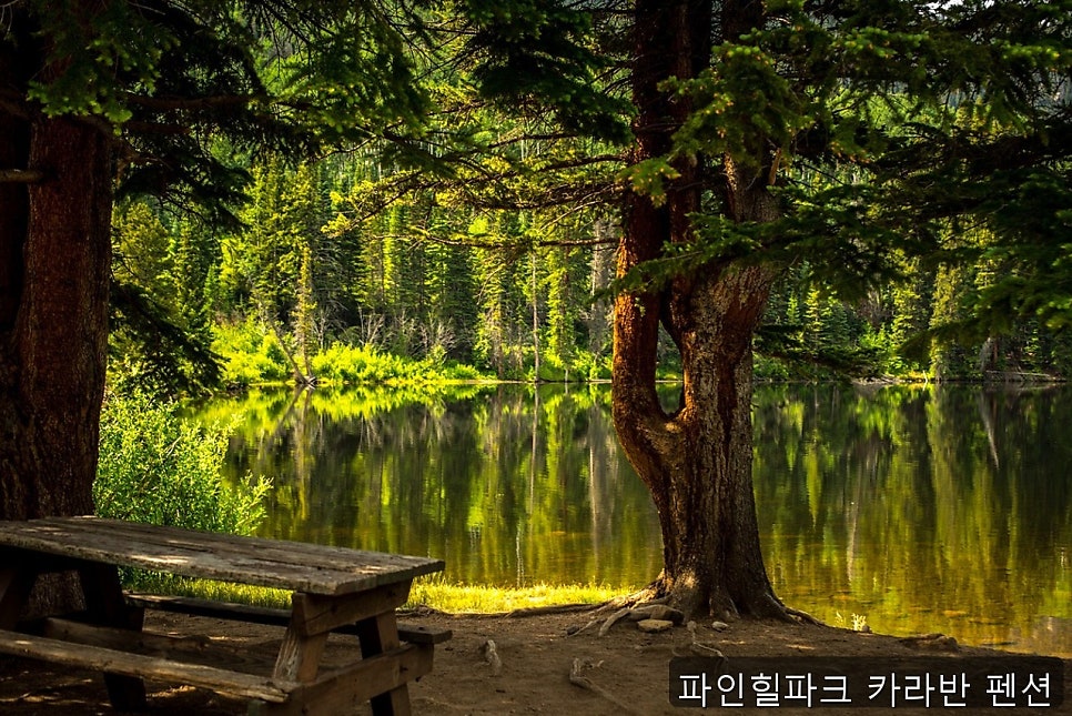 파인힐파크 사진 2