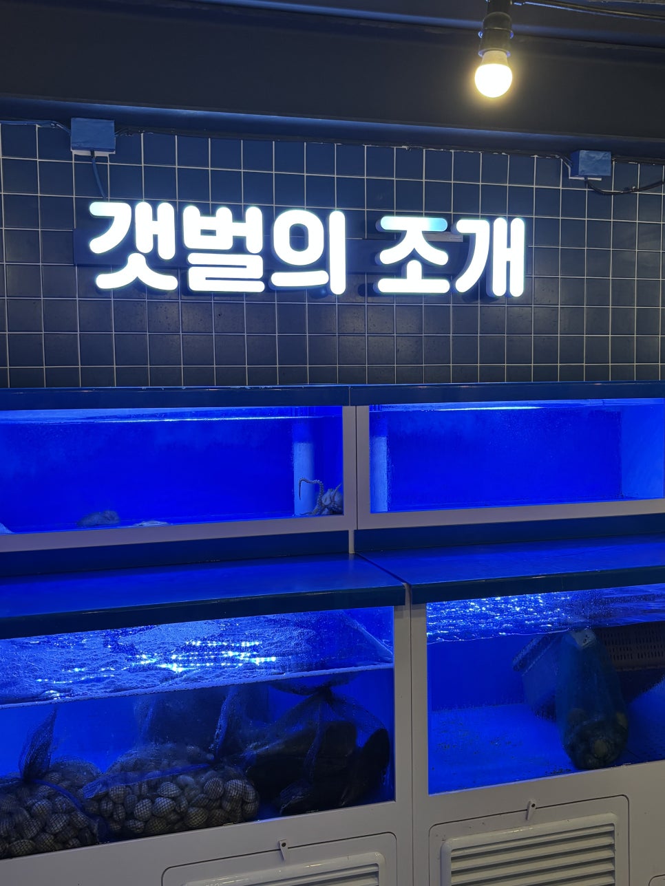 갯벌의조개 이수점 사진 4