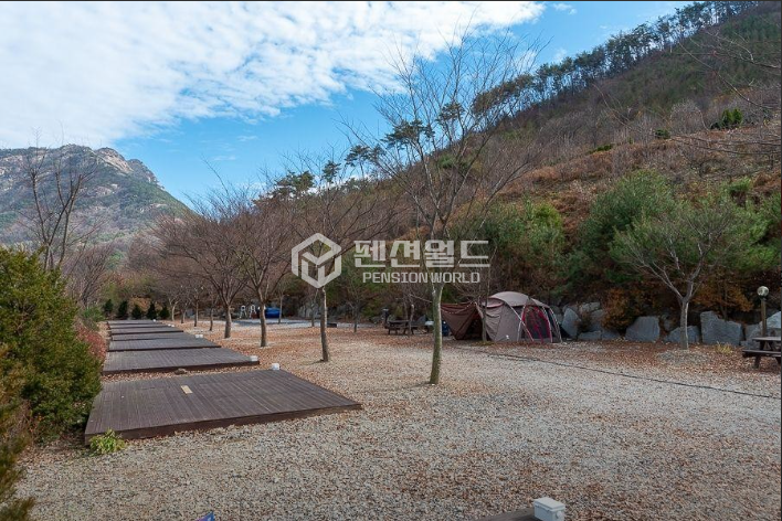 단지캠핑장 사진 6