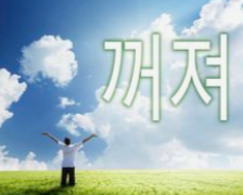 벼룩파리 날파리 초파리 날벌레 뿌리파리 그냥 다 때려부시기