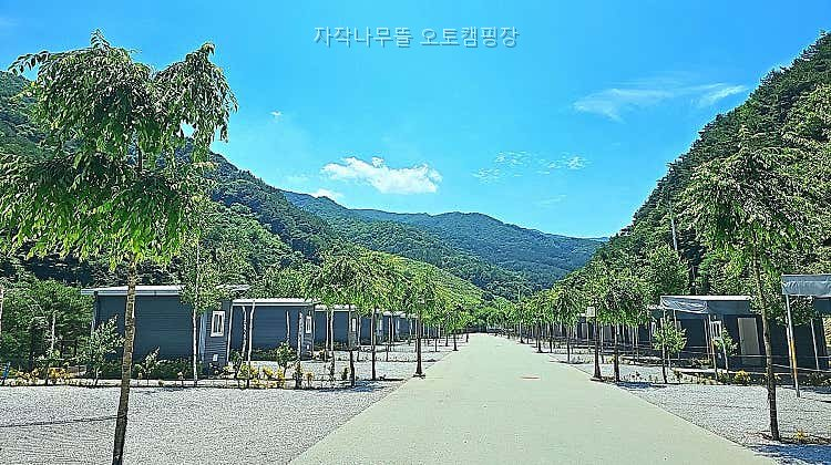 자작나무뜰오토캠핑장