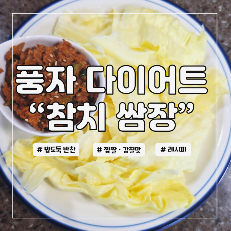 양배추 참치쌈장 풍자가 36kg 감량한 다이어트 식단
