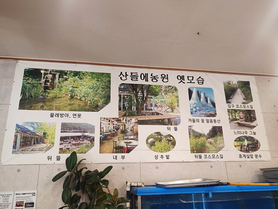 산들에농원 민물장어 사진 4
