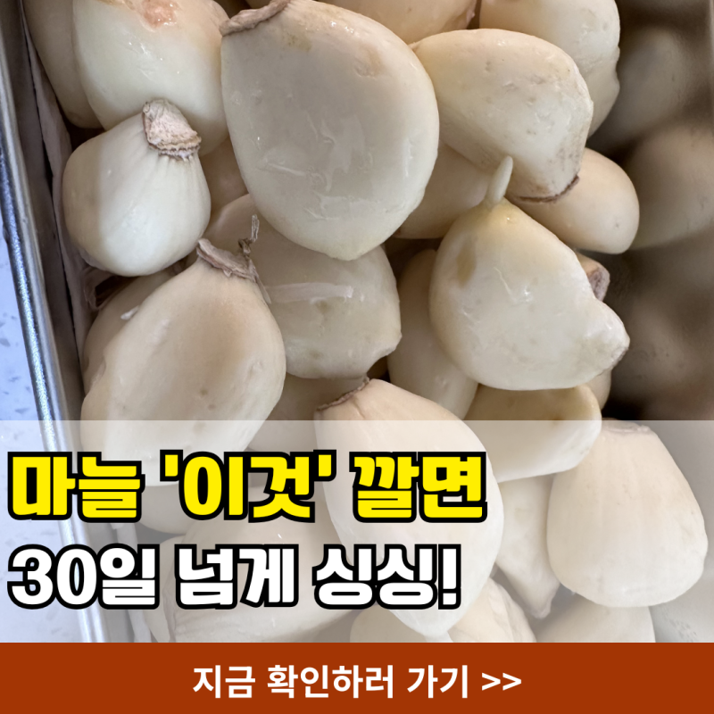 마늘 다 버리고 눈물로 배운 깐마늘 보관법, 안깐마늘 통마늘 장기 보관 꿀팁