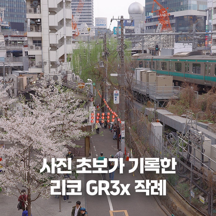사진 초보가 기록했던 리코 gr3x 작례 모음