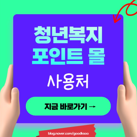 경기도 청년복지포인트몰 사이트 사용방법 사용처 알아보기