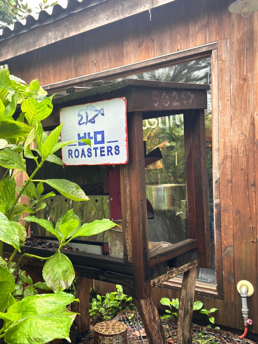 오엘이에프 사진 4