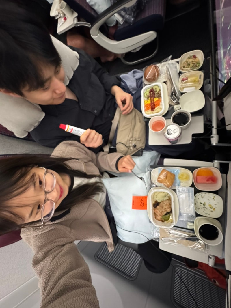 발리 1일차(2) : 대한항공 KE 433 발리행 비행기 후기, 좌석 추천, 저지방식 변경, 발리 공항 ATM ....