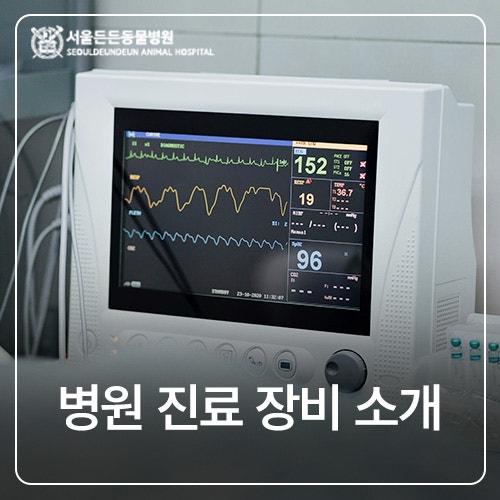 우리 아이의 정확한 진단과 안전한 치료를 위한 진료 장비 소개 ┃ 인천 문학동 서울든든동....