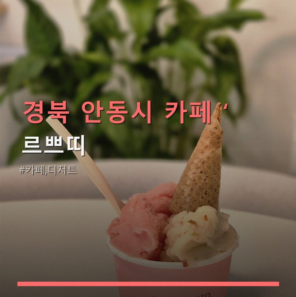 르쁘띠 사진 1