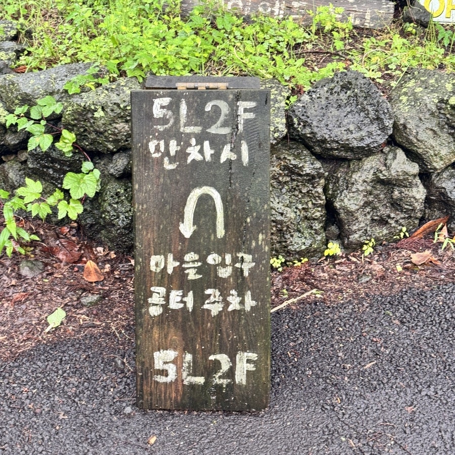 오엘이에프 사진 2