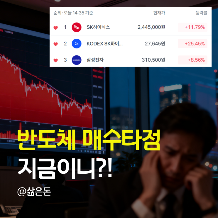 "<b>삼전닉스 급락</b> 후 반등 중" 지금 봐야 할 반도체 관련주 TOP7