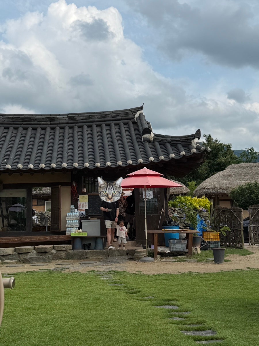 신창댁 사진 6