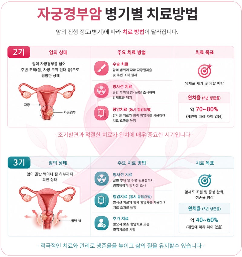 자궁경부암 치료방법, 0기부터 4기까지 병기별 치료 총정리
