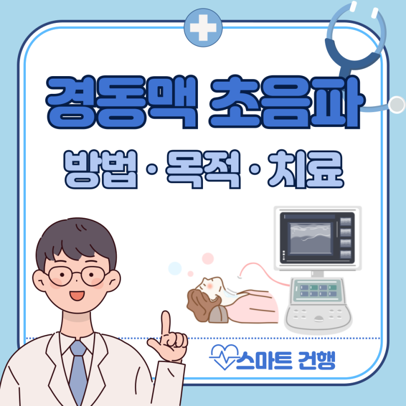 경동맥 초음파 검사 비용, 결과 해석 : 검사 대상, 목적