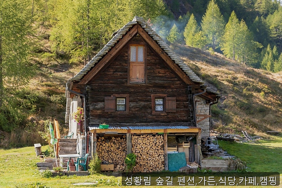 성황림숲길 식당 사진 1