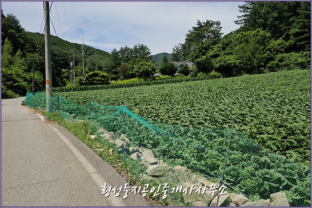 700고지 사진 6