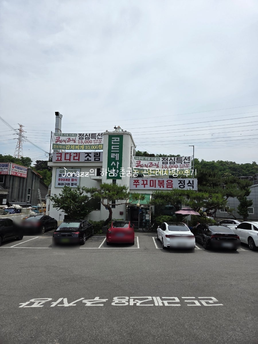 곤드레사랑 사진 3