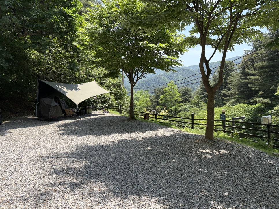 블루문펜션 사진 1