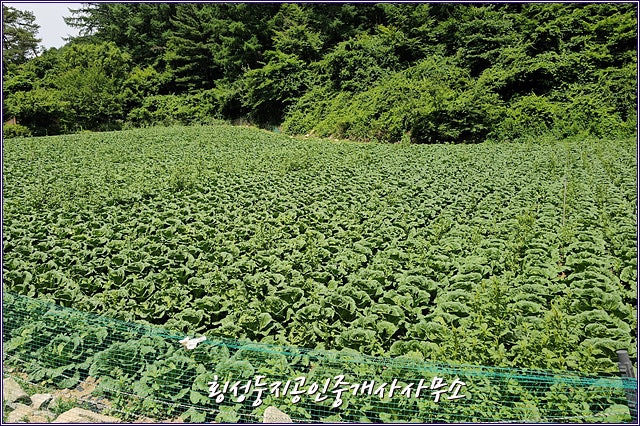 700고지 사진 5