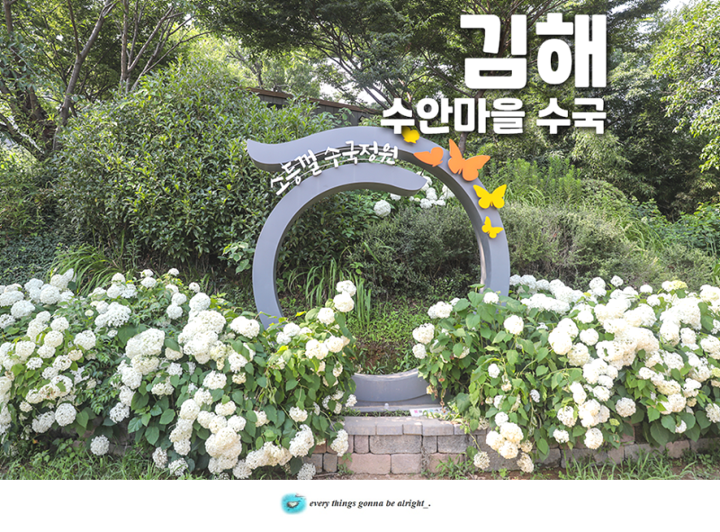 김해 수안마을 수국 부산근교 여행지