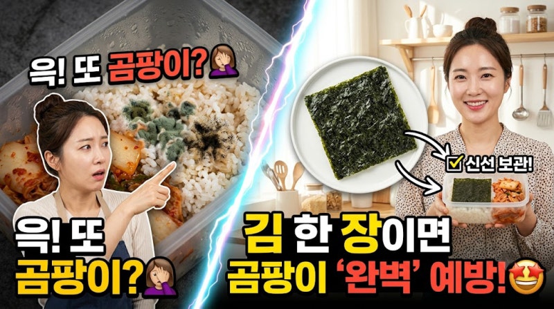 고추장 하얀 막의 정체는? 골마지와 곰팡이 차이부터 보관법까지