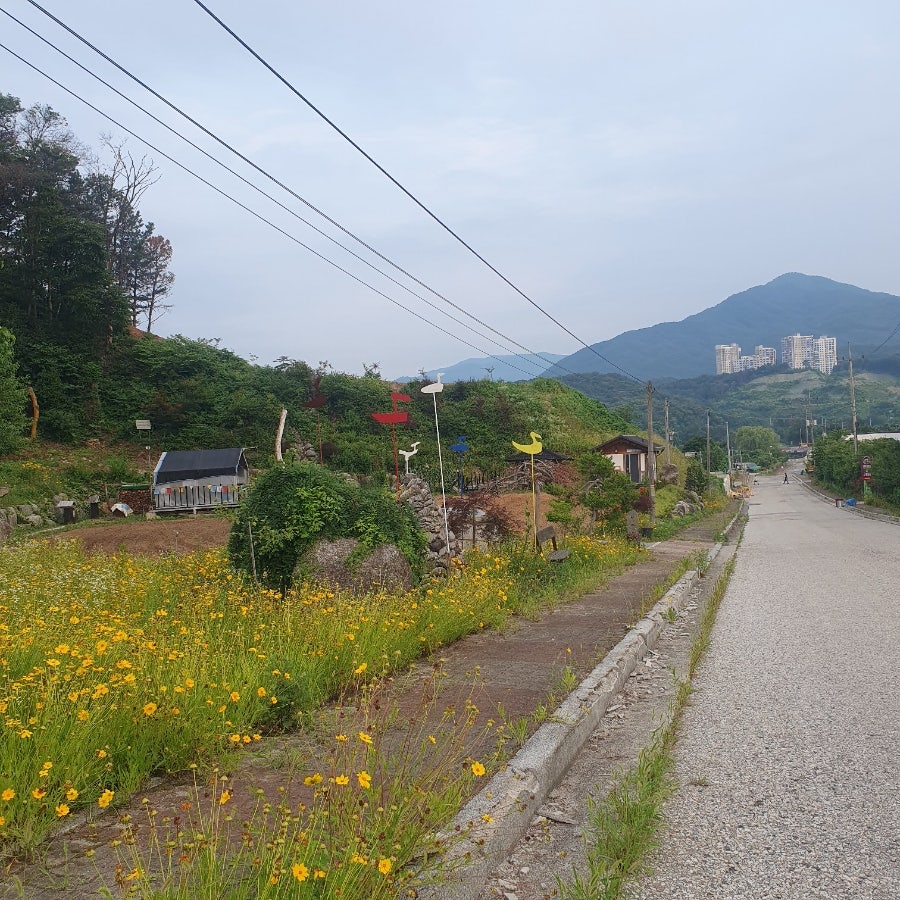 운악산칼국수 사진 1