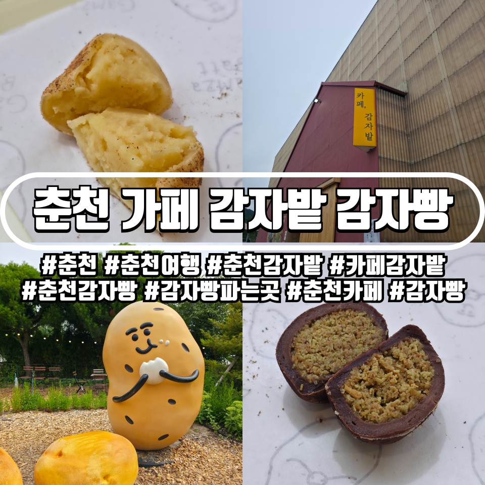 카페감자밭 본점 사진 1