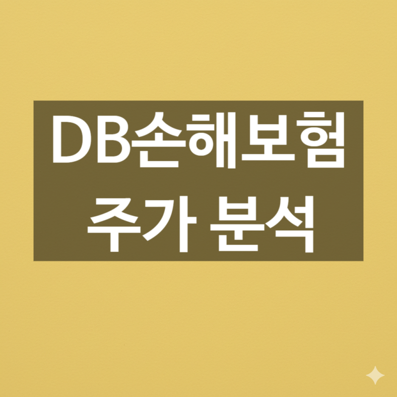 DB손해보험 주가 분석