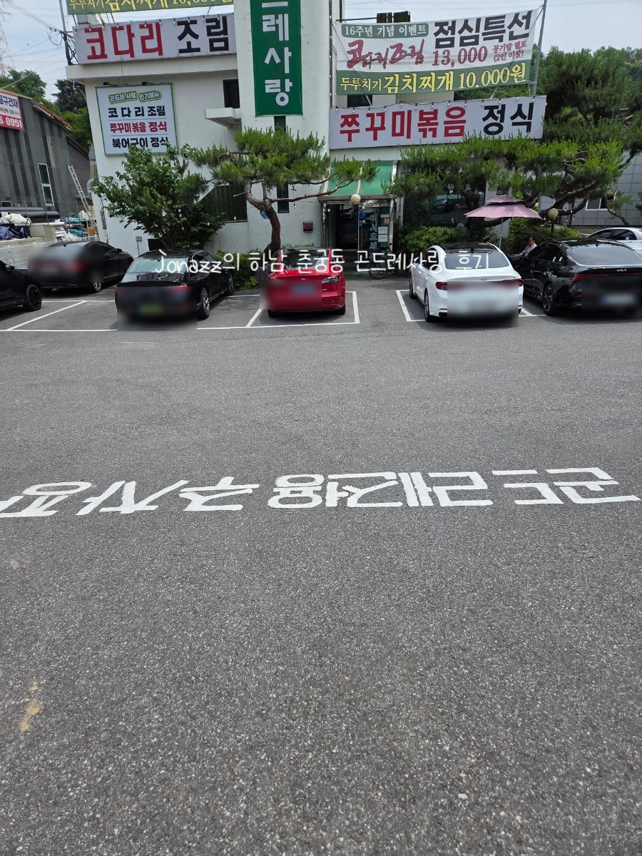 곤드레사랑 사진 4