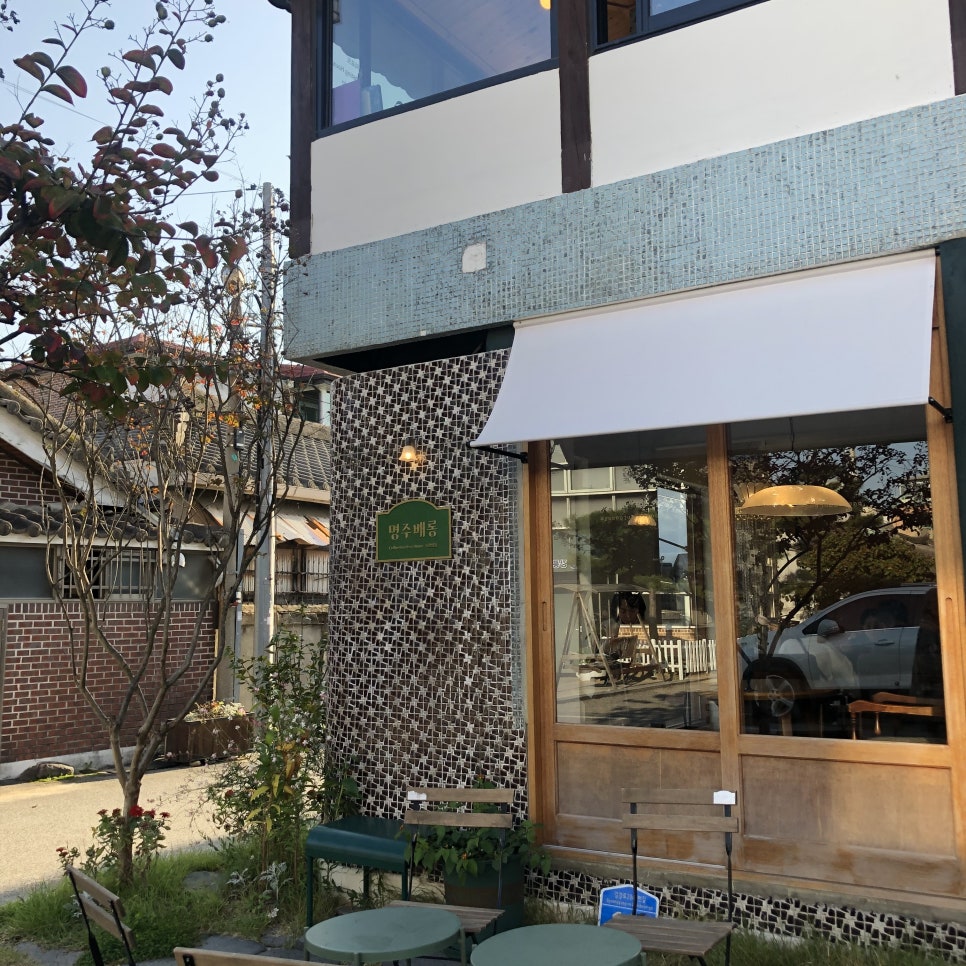 명주배롱 사진 5