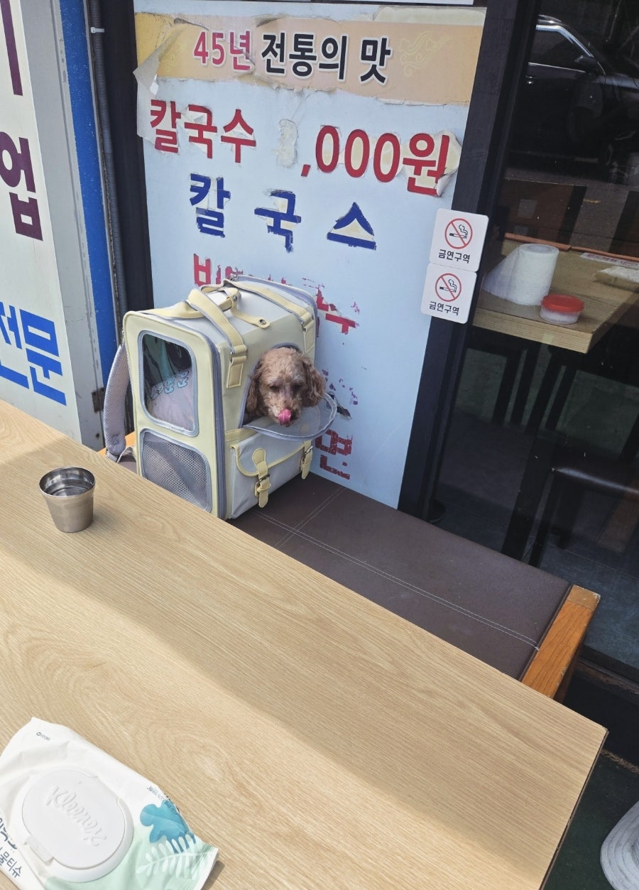 정성칼국수 사진 3