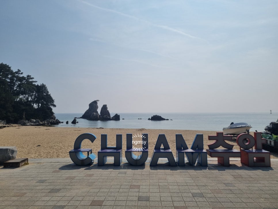 할리스 동해촛대바위점 사진 5