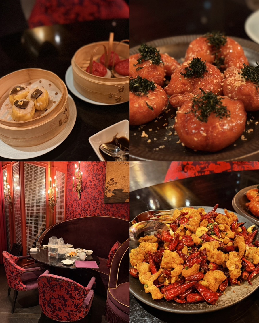 팔레드신 사진 1