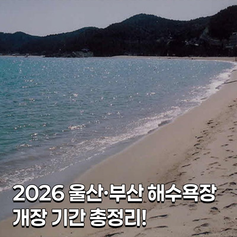 2026 울산·부산 해수욕장 개장 기간 총정리!