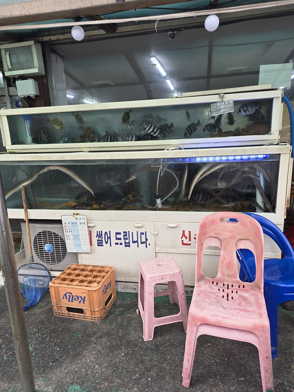 통영회센타 사진 4