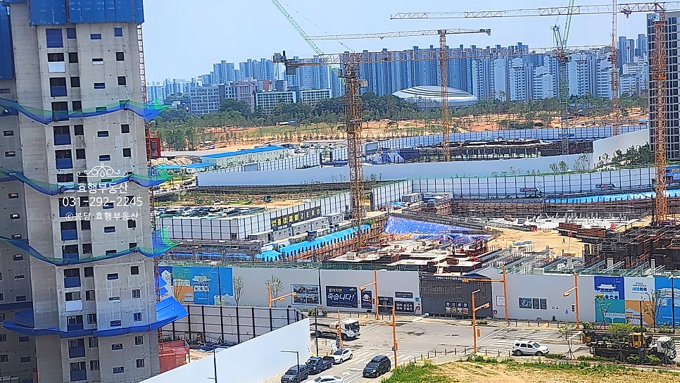 더드림 사진 4