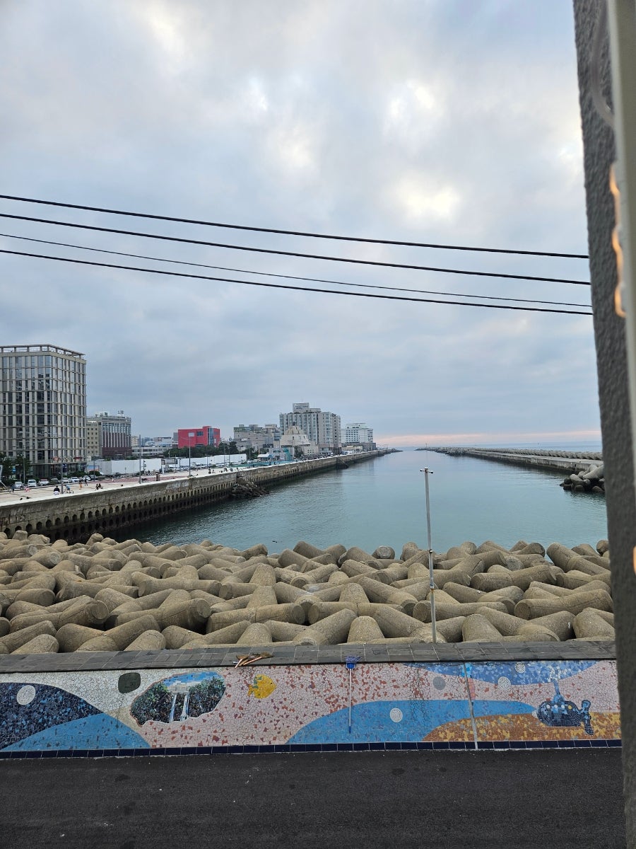 영천횟집 사진 4