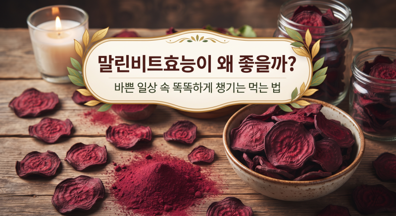 말린비트효능이 왜 좋을까? 바쁜 일상 속 똑똑하게 챙기는 먹는 법