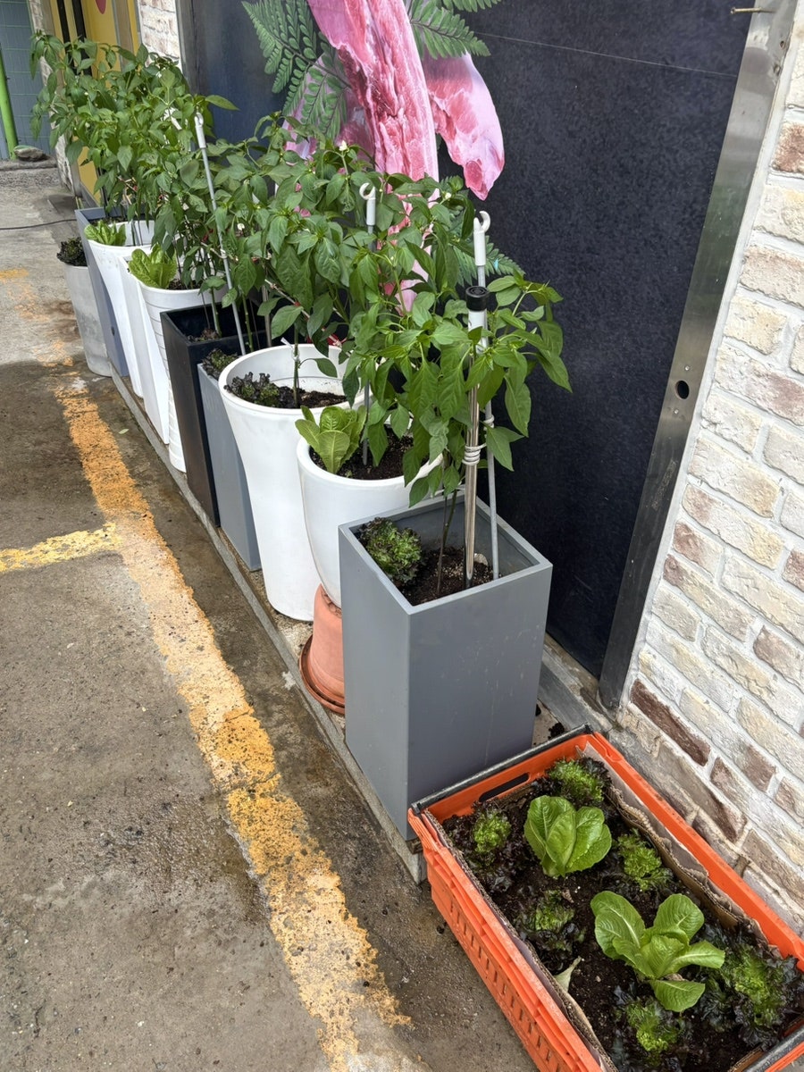 추봉네참숯소갈비살전문점 사진 4
