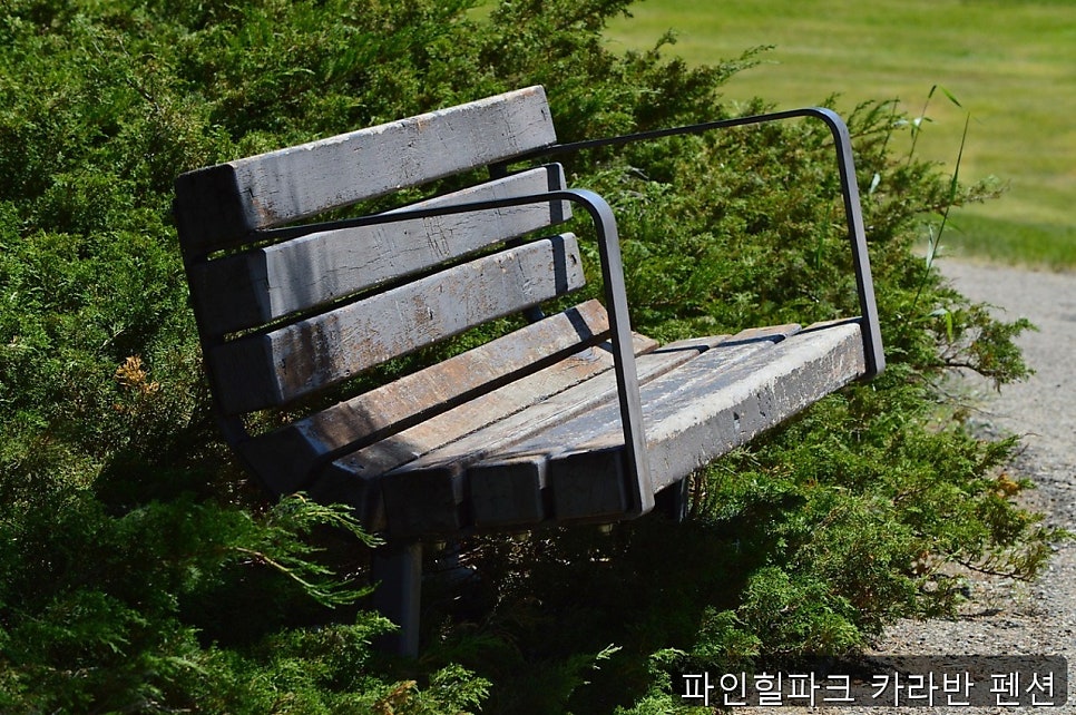파인힐파크 사진 1