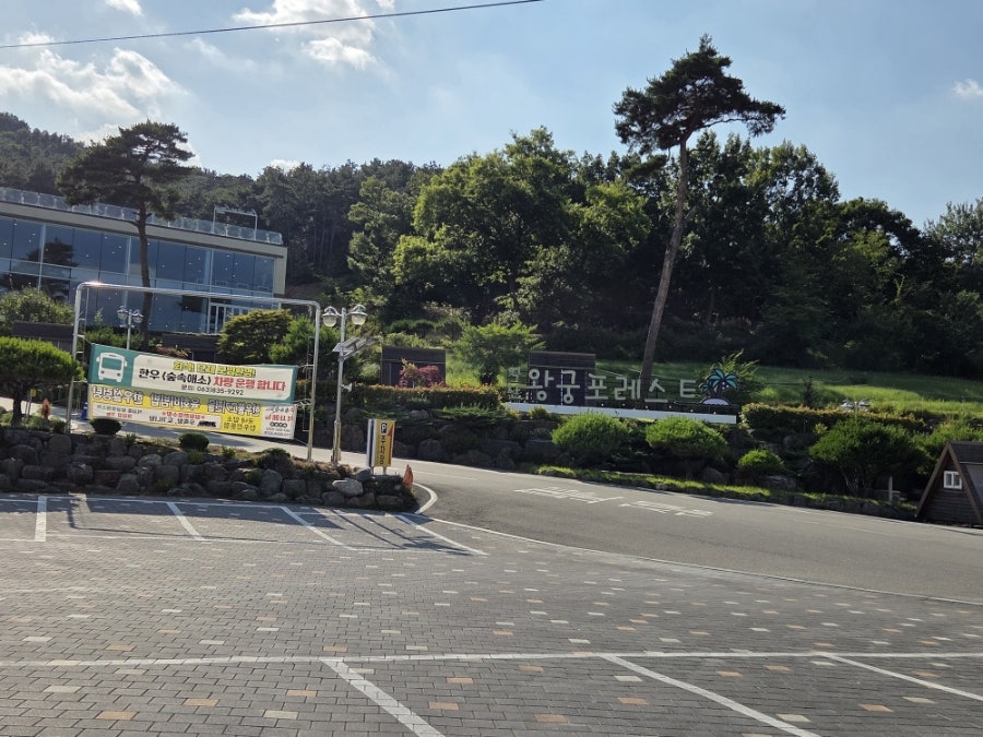 숲속애소 사진 6