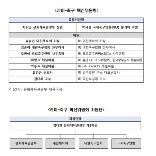 문체부, 거버넌스·유소년 혁신 위한 ‘<b>K-축구 혁신위</b>’ 출범