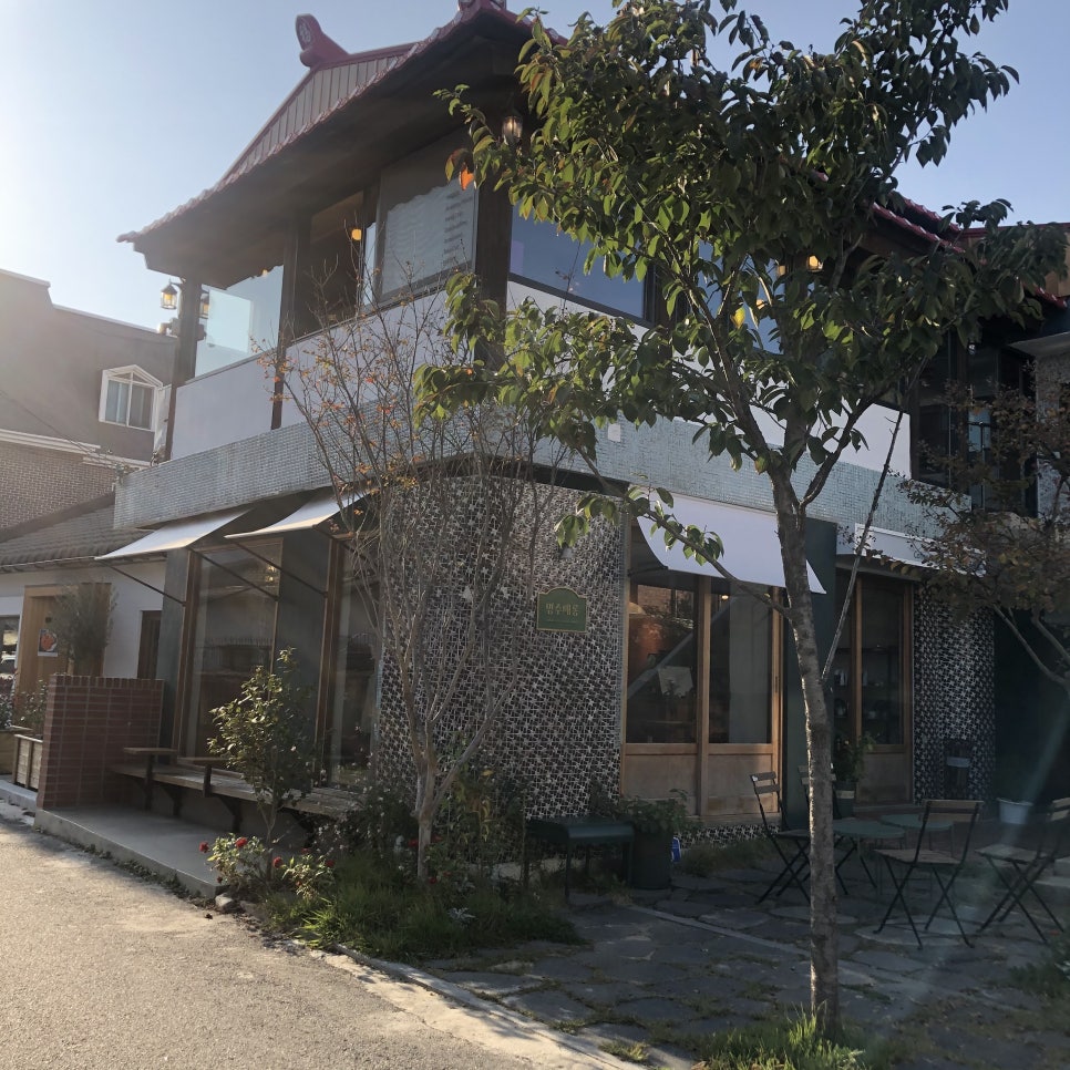 명주배롱 사진 1