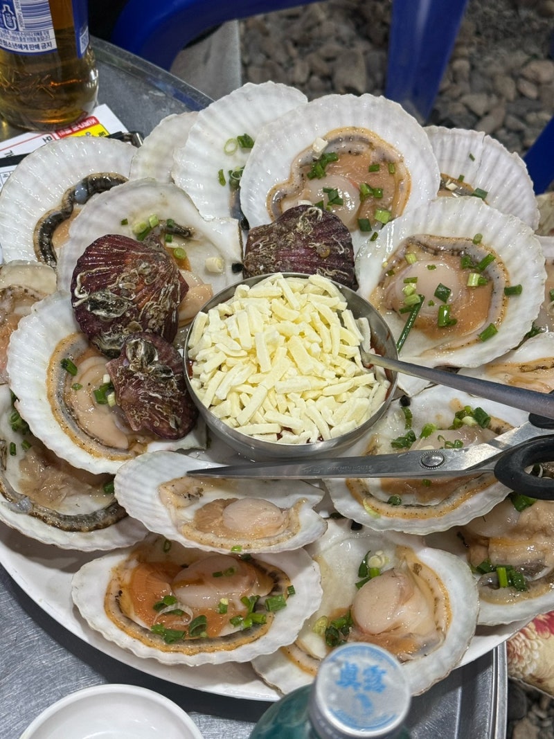 포항살이 7개월차 대학원생의 포항 맛집 대방출